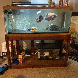 Aquarium And Stand Everything 