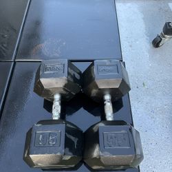 ROGUE 95 Lb Hex Dumbbells 