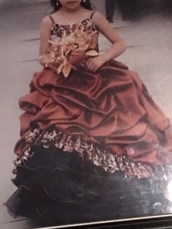 Quinceañera dress
