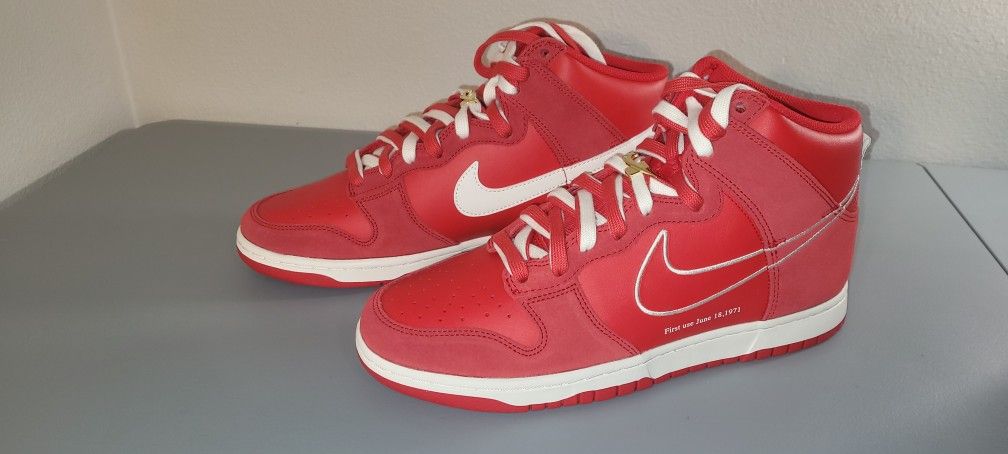 Nike SB Dunk First Edition Size 10.5 New With Tags