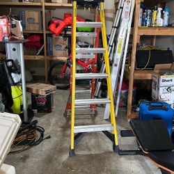 Werner Ladder 