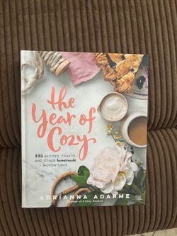 The year of cozy book