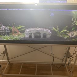 55 Gal Fish Tank