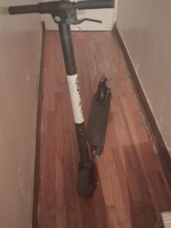 Electric Kick Scooter Black and White
