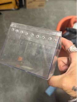 young spider enclosure