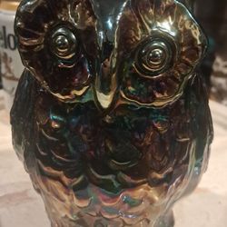 Owl Decor