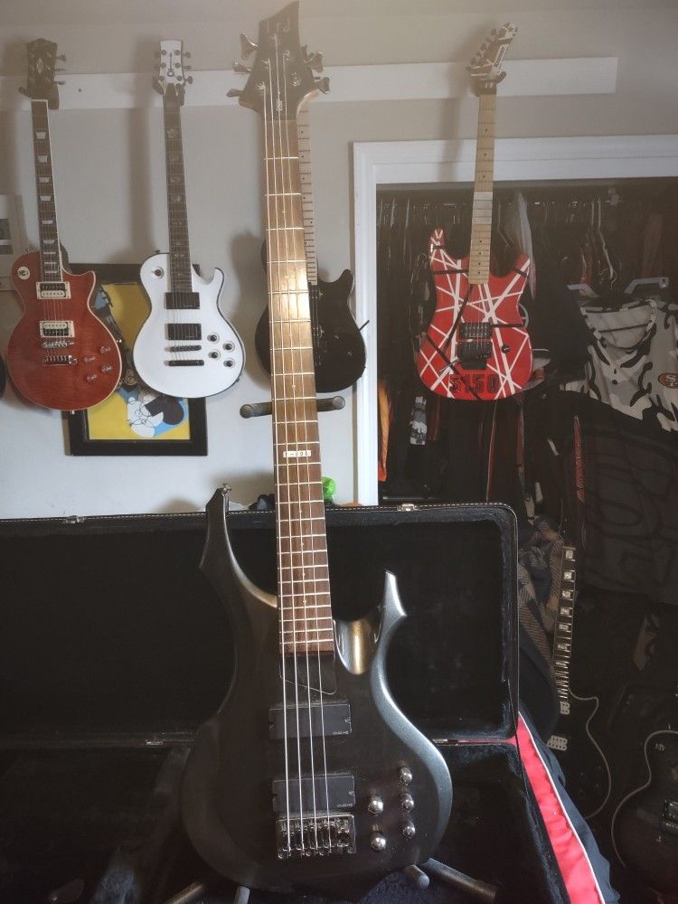 ESP LTD F-205 Bass Guitar