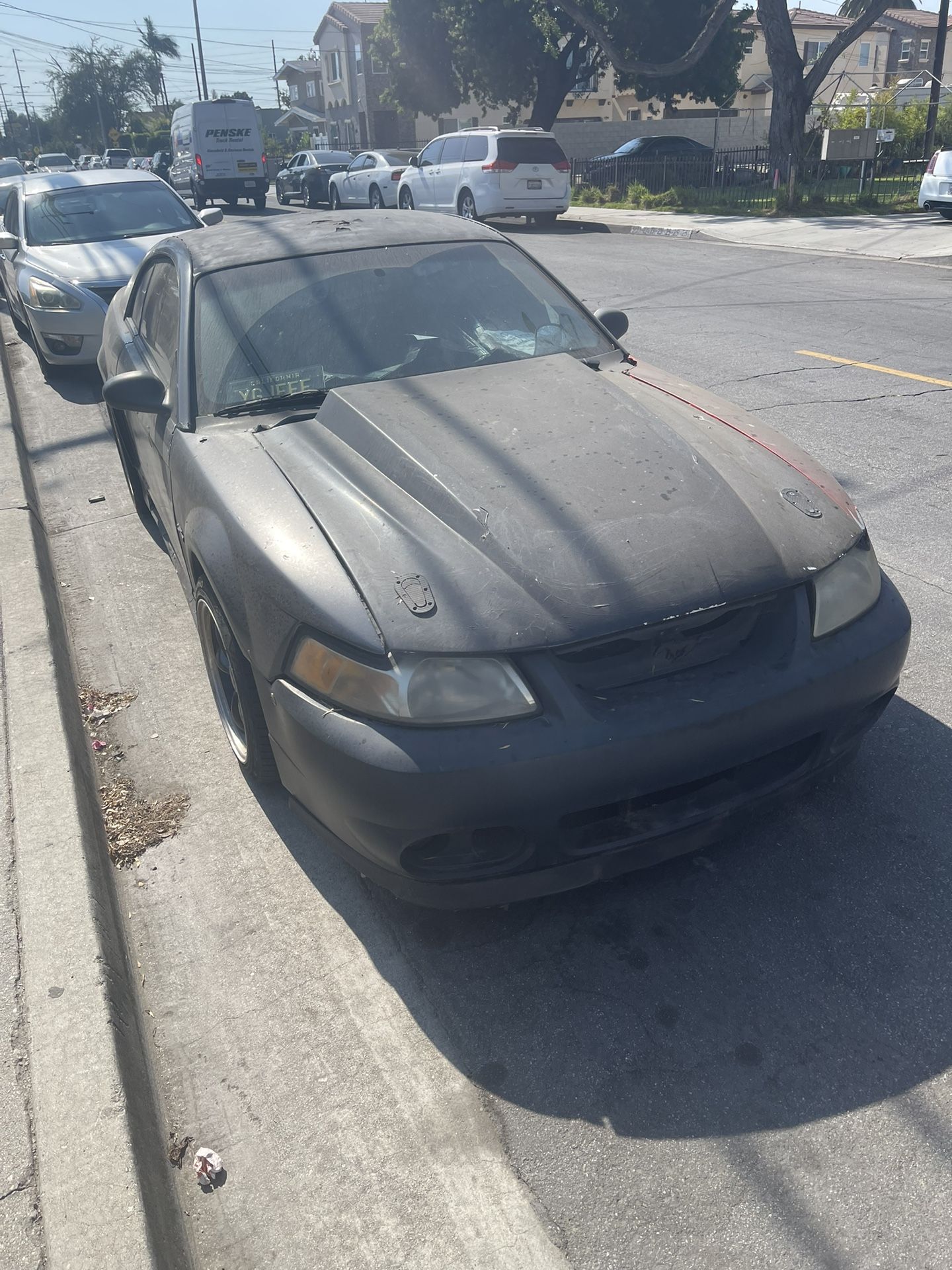 2000 Ford Mustang