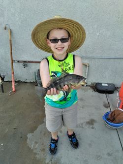 New Fishing Pole , And Bait Net w a Lesson