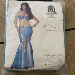 Mermaid Costume Brand New