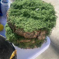 15 Wood Centerpieces With Greenery 