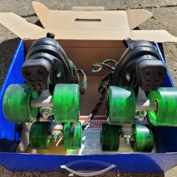 Riddell roller skates.
