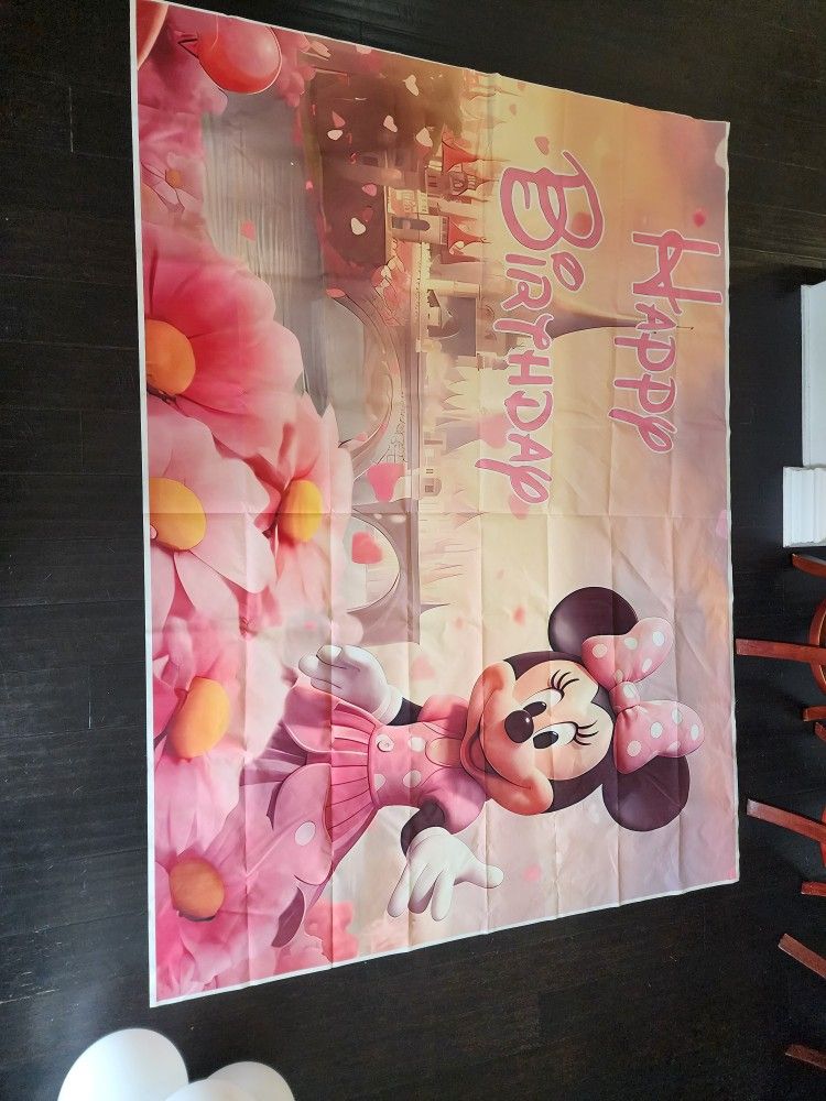Minnie Mouse Party Decorations