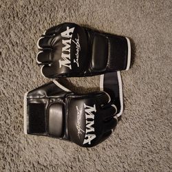 MMA Gloves 