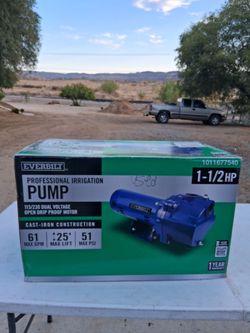 Everbilt 1 1/2 HP Irrigation Pump