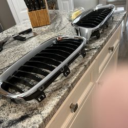 BMW 3 Series Grill Fronts 