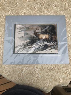 Rocky Mountain Matted Elk Photo