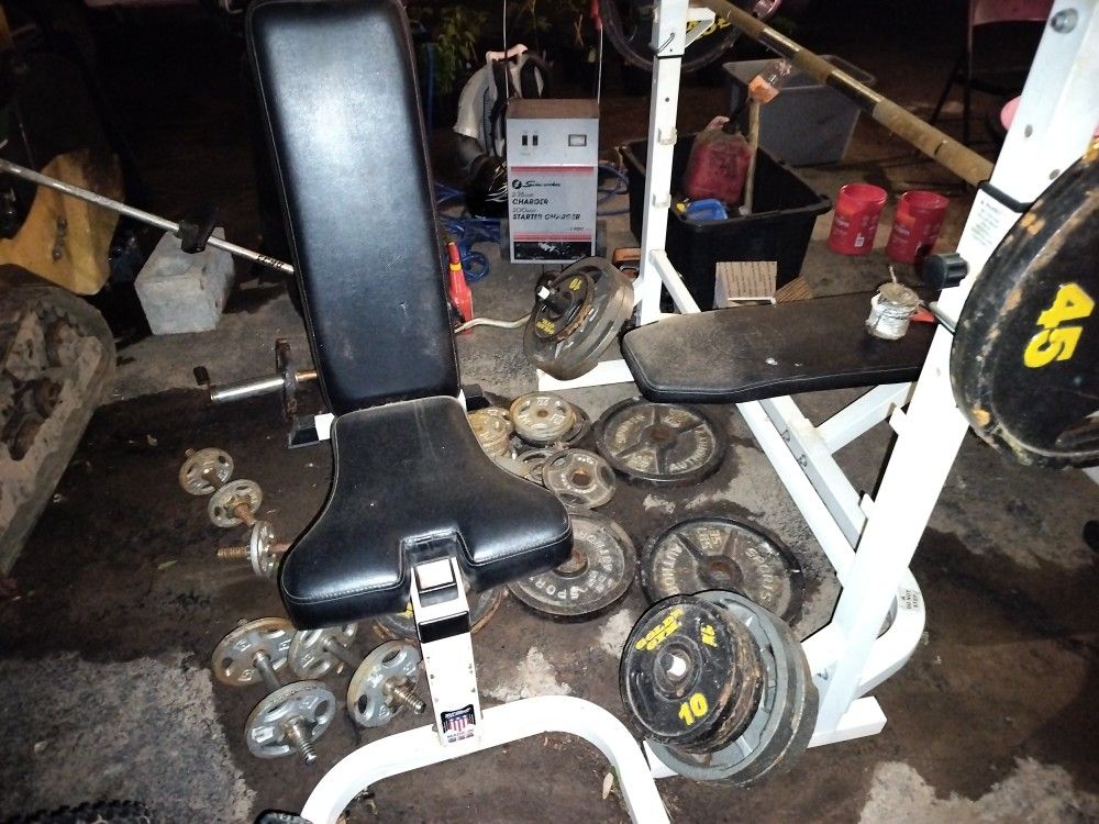 Weight Bench And Weights