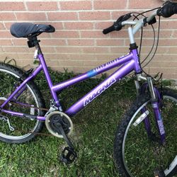 Magna Bike