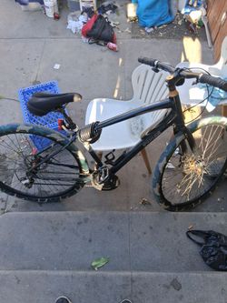 Specialized 29 inch BMX