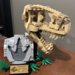 Jurassic World Lego Set 