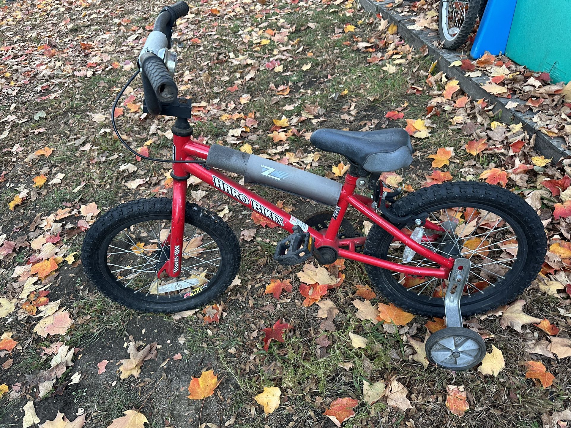 Kids Bicycle With Training Wheels