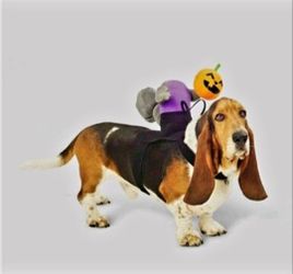 Hyde and EEK! Boutique Headless Horseman Squirrel Rider Dog and Cat Costume.