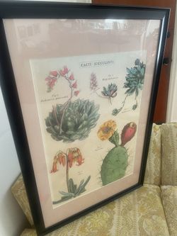 Custom framed succulent print 