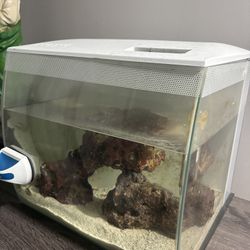 Fluval 10 Gallon Fish Tank With 4 Pounds Of Live Rocks