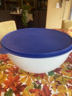 Tupperware Thatsa Bowl with Lid - very large