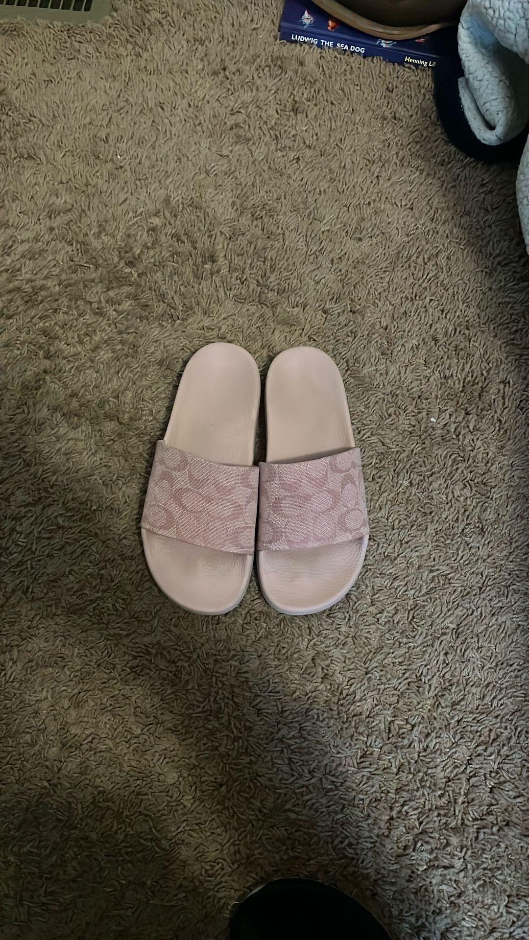 Coach Slides