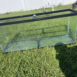 60 Gal Fish Tank
