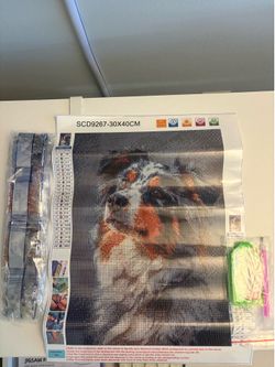 Australian Shepherd Dog - Diamond Painting Kit