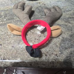 Pet Reindeer For Small Amimal