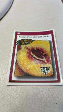 GARDEN GOLD MINIATURE PEACH 🍑 TREES