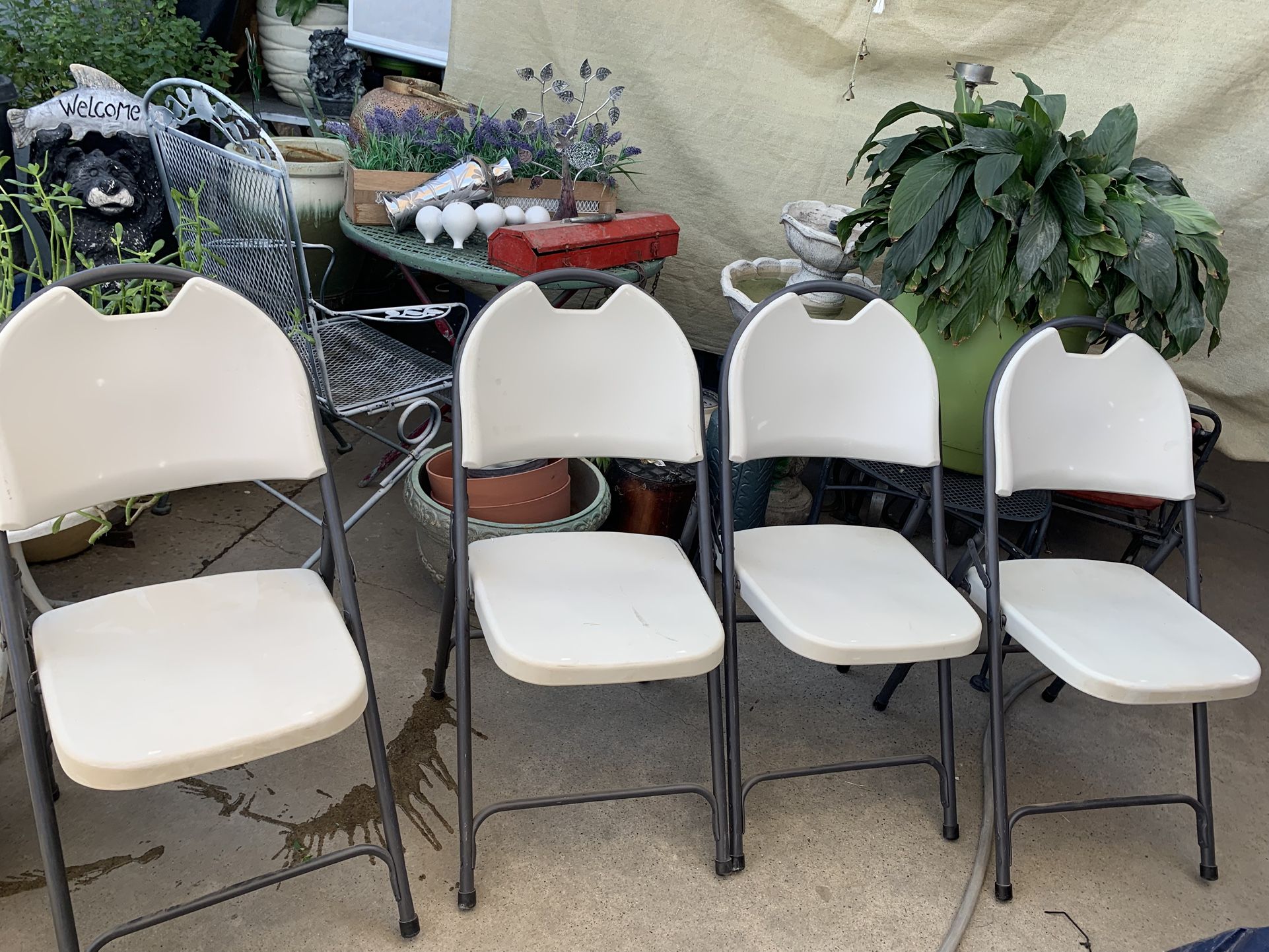 Amazing Chairs. Very Comfortable I’m Selling 4 I Take Cash Only. 80 Dlls