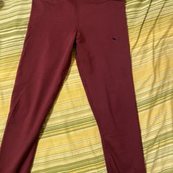 Burgundy Puma Cotton Pant