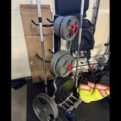 Weights, Bars And Rack