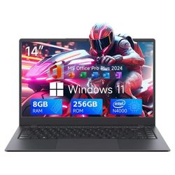 Windows Laptop