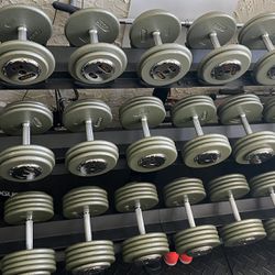 Troy Gray Pro style Dumbbells 5 To 100lbs
