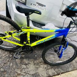 Brand New  Bike 