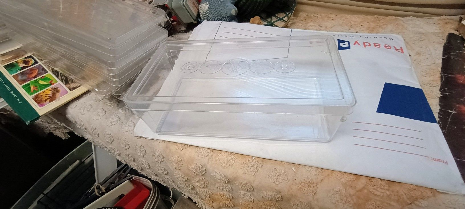Plastic (Acrylic) Shoe Boxes