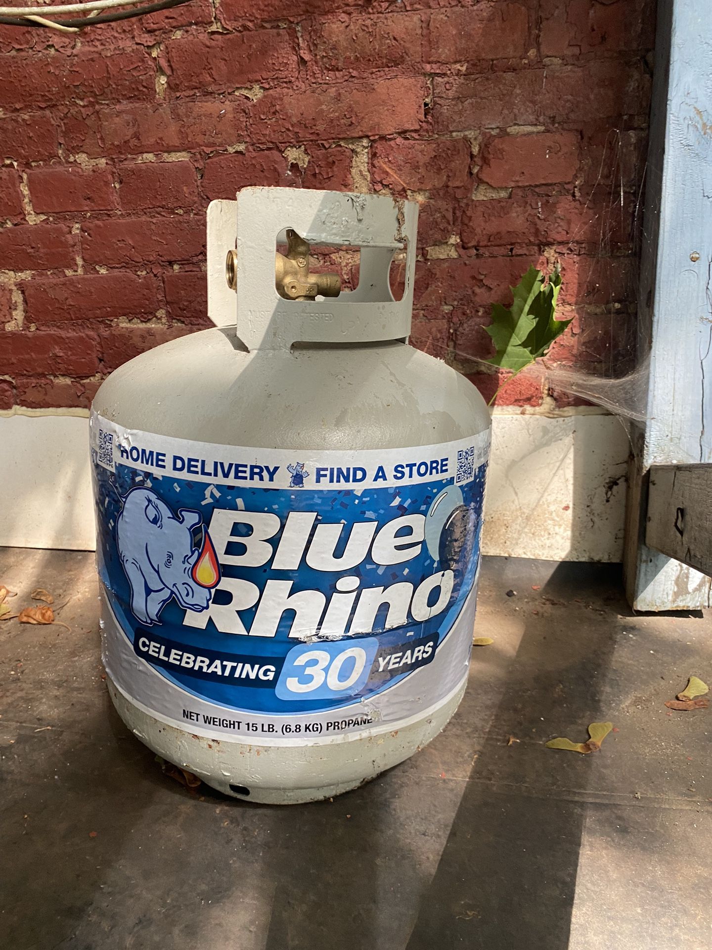 Blue Rhino 15 LB. (6.8 KG) PROPANE