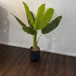 Fake Plant