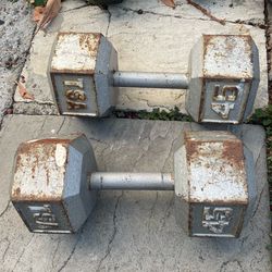Pair of 45lb Dumbbells