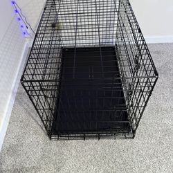 Medium Dog Crate + Plush Dog Bed (Brand New)