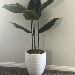 Two Faux Plants