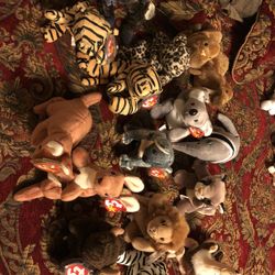 Beanie Babies: New With Tags