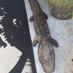 6ft Hand Carved Wooden Alligator Great Yard Feature! 