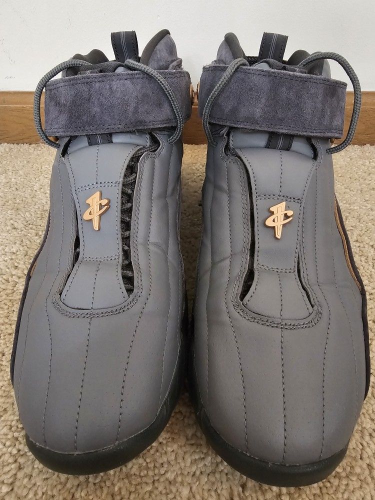 NIKE AIR PENNY IV WOLF GREY/COPPER MEN'S SIZE 10